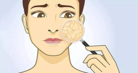 透皮吸收实验 解锁高端功效化妆品研发的科技钥匙